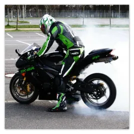 fototapety-312x312-kawasaki-ninja-zx-6r