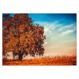 fototapety-208x146-jesienne-barwy-pejzaz