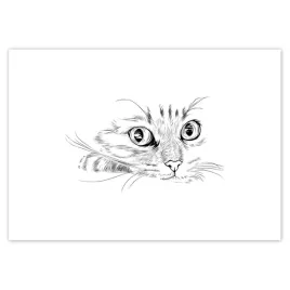 fototapety-208x146-kot-kotek-kotki-koty
