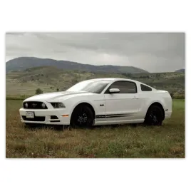 fototapety-312x219-bialy-ford-mustang