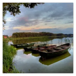 fototapety-312x312-jezioro-w-wolsztynie