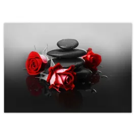fototapety-208x146-czerwona-roza-wellness