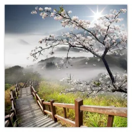 fototapety-208x208-japonia-kwitnaca-wisnia