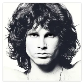 fototapety-312x312-wokalista-the-doors