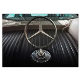fototapety-208x146-znaczek-mercedesa