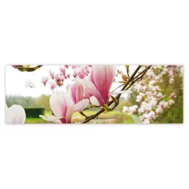 fototapety-200x66-magnolie-w-poznaniu-kwiat