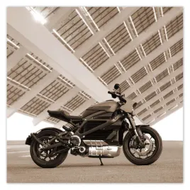 fototapety-312x312-harley-davidson-motocykl