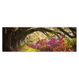 fototapety-200x66-kwiaty-w-parku