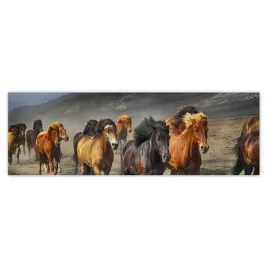 fototapety-200x66-kon-konie-jezdziectwo