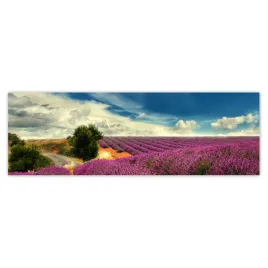 fototapety-200x66-lawendowy-pejzaz