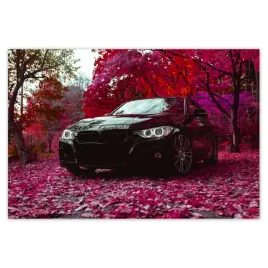 fototapety-200x135-czarne-bmw-jesien
