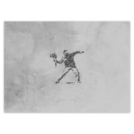 fototapety-254x184-banksy-flower-thrower
