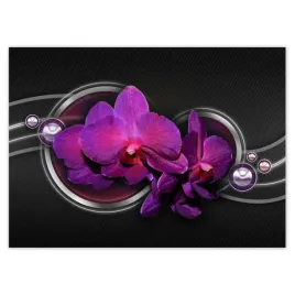fototapety-254x184-fioletowy-oleander