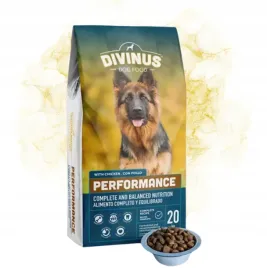 divinus-performance-karma-kurczak-dla-duzych-ras-20kg