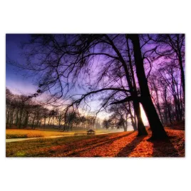 fototapety-368x254-park-w-wasowie