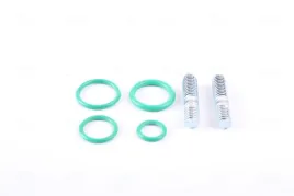 zawor-rozprezny-nissens-999250