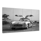 obrazy-120x80-mercedes-gullwing