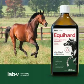 lab-v-equihard-na-stawy-dla-koni-i-kucykow-1x500ml-promocja