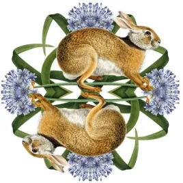 karnet-kwadrat-z-koperta-european-brown-hare