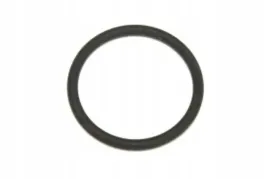 oring-21x25x2-elring-904-480