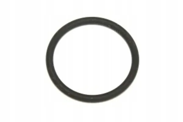 oring-21x25x2-elring-904-480