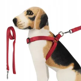 komplet-szelki-i-smycz-dla-psa-rozmiar-l