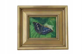 kolorowy-motyl-motylek-na-lisciu-natura-obraz-olejny-zlota-rama