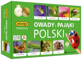 memory-owady-pajaki-polski