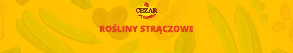fasola-czerwona-500g-cezar