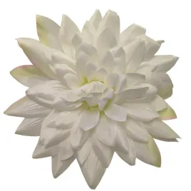 kremowa-dalia-wyrobowa-28-cm-6-sztuk