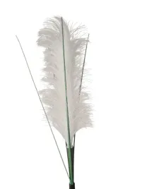 solarne-kwiaty-pioropusz-trawa-pampasowa-60-cm-neutralna-biel