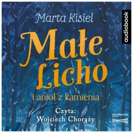 male-licho-i-aniol-z-kamienia-marta-kisiel