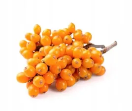 rokitnik-equiherbs-suszony-caly-owoc-doypack-1000g