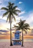 puzzle-500-elementow-hq-miami-beach-florida-stan-nowy