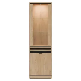 ferro-fe05-witryna-2d-l-p