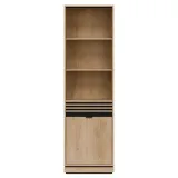 ferro-fe06-reagal-1d-l-p