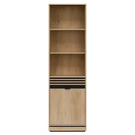 ferro-fe06-reagal-1d-l-p