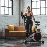 rower-christopeit-al1-srebrny-kod-producenta-30-1106a