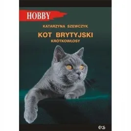 kot-brytyjski-krotkowlosy-w-4-egros