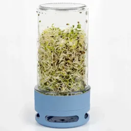 kielkownica-sloikowa-kielki-naczynie-do-uprawy-kielkow-w-domu-545ml