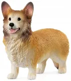 corgi