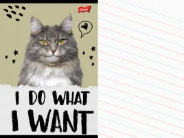 szkolny-zeszyt-a5-linia-dwukolorowa-32-kartki-w-linie-kot-kotek-caturday