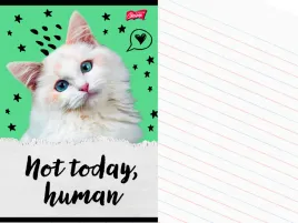 szkolny-zeszyt-a5-linia-dwukolorowa-32-kartki-w-linie-kot-kotek-caturday