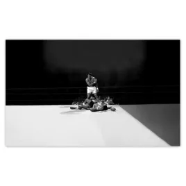 fototapety-416x254-muhammad-ali-bokser-walka