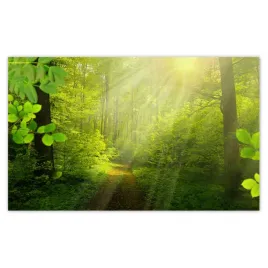fototapety-520x318-magiczny-las-promienie