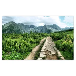 fototapety-520x318-kamienista-droga-tatry