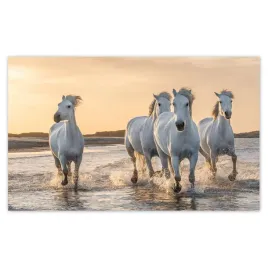 fototapety-520x318-dzikie-konie-wild-horses