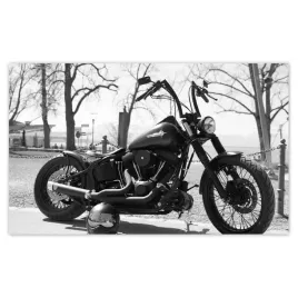 fototapety-520x318-harley-davidson-motocykl