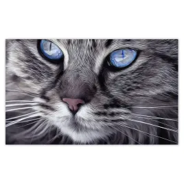fototapety-520x318-niebieskooki-kotek