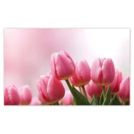 fototapety-520x318-rozowe-tulipany